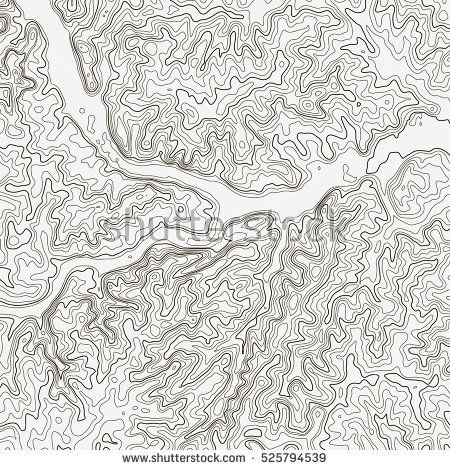 450x470 Stock Vector Topographic Map Background Concept Topo Contour Map