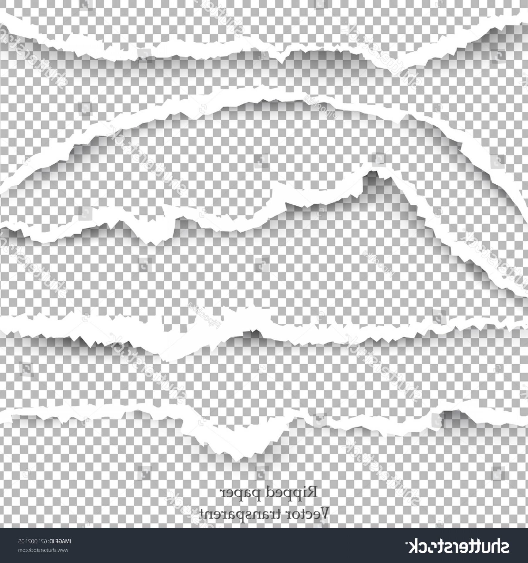 1800x1920 Page Tear Vector Shopatcloth