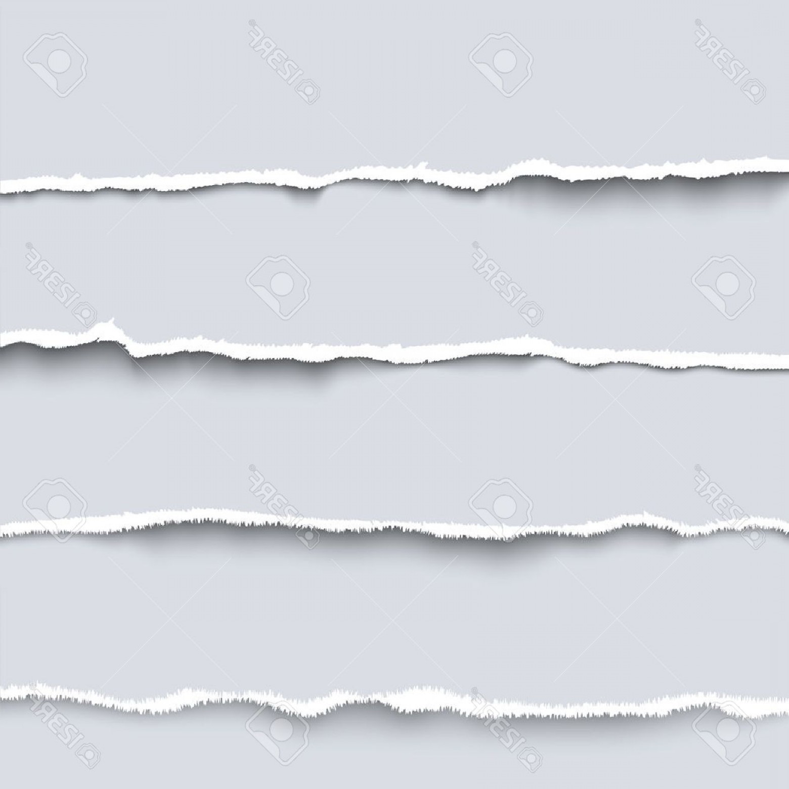 1560x1560 Photostock Vector Vector Torn Paper Collection Of Four White