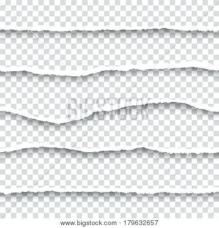 450x470 Vector Seamless Torn Papers Set On Transparent Background Isolated