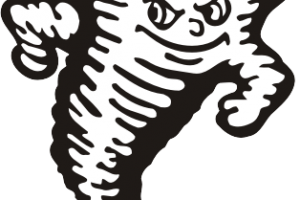 300x200 Tornado Vector