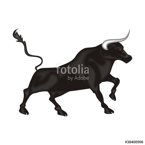 500x500 Toro Stock Image And Royalty Free Vector Files On