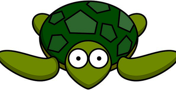 Tortoise Shell Vector at GetDrawings | Free download