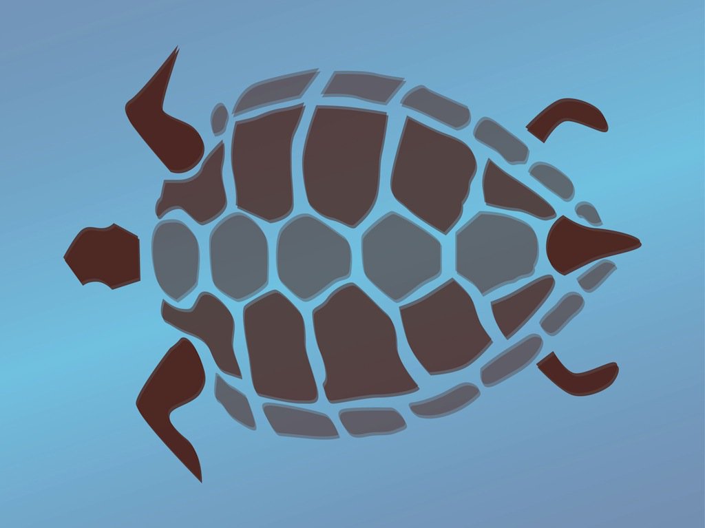 1024x767 Turtle Graphics Vector Art Amp Graphics
