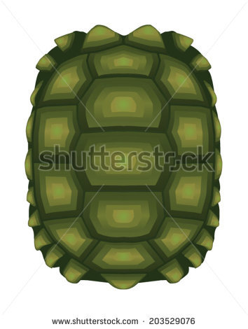 354x470 Turtle Shell Pattern Wallpaper