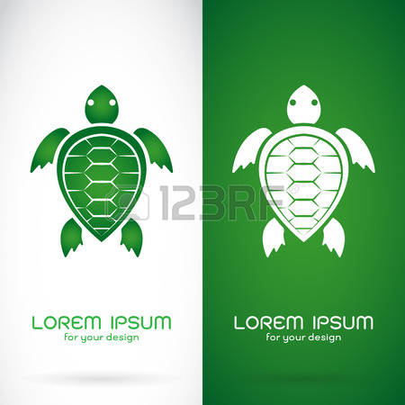 450x450 Turtle Shell Logo Clipart