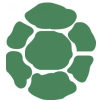 204x204 Turtle Shell Pattern Clipart Collection
