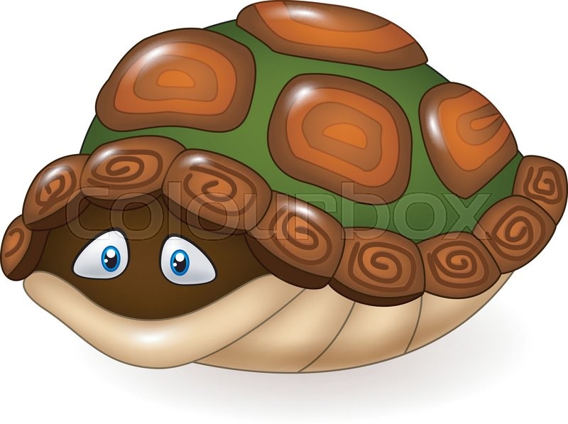 800x597 Vector Illustration Of Cartoon Funny Turtle Hides In Its Shell