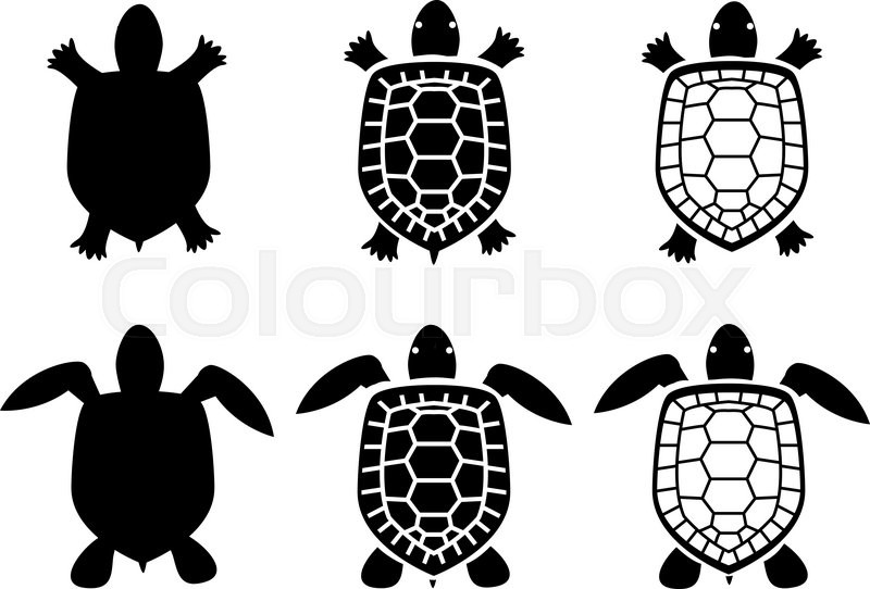 800x542 Set Of Turtle And Tortoise Icons,top View, Vector Stock Vector
