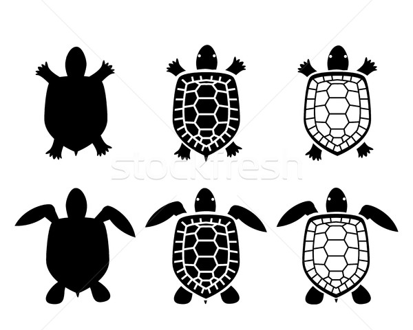 600x480 Set Of Turtle And Tortoise Icons,top View Vector Illustration