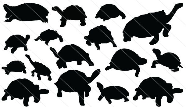 610x350 Tortoise Silhouette Vector (16) Tortoises And Turtles