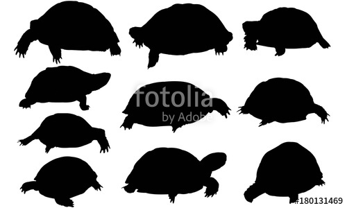 500x300 Tortoise Silhouette Vector Graphics Stock Image And Royalty Free