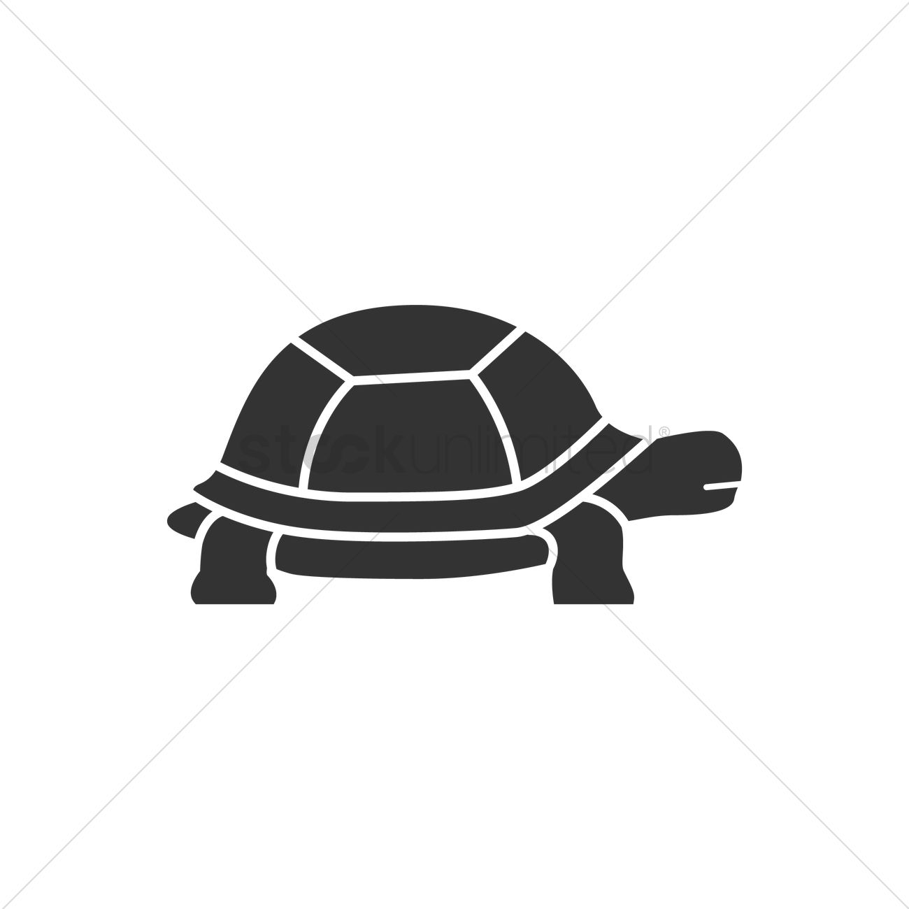 1300x1300 Tortoise Vector Image