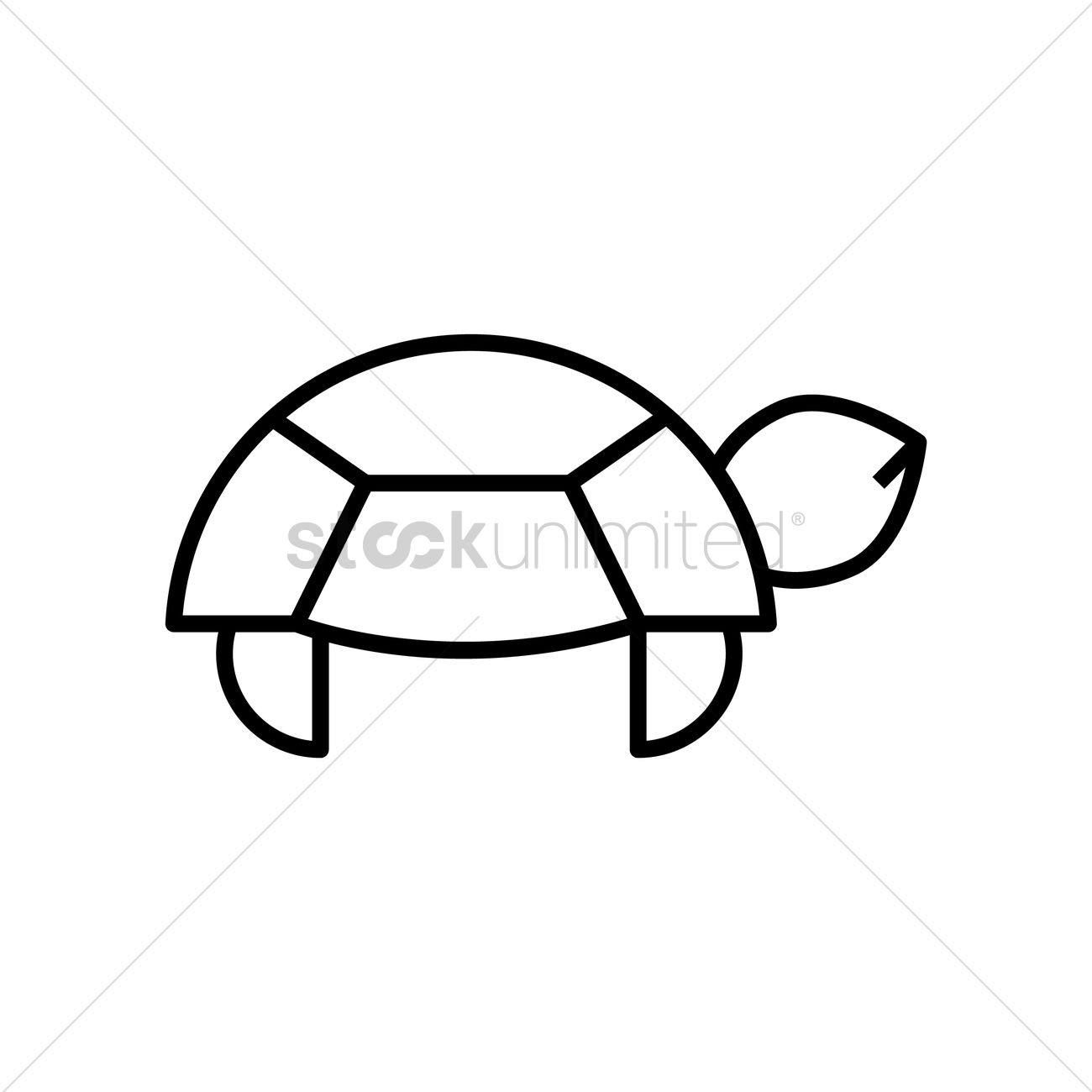 1300x1300 Tortoise Vector Image