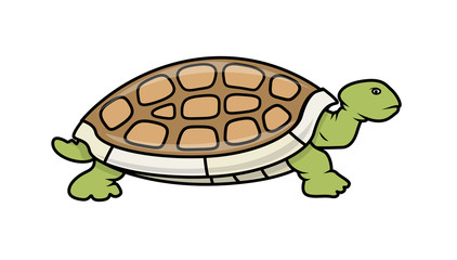 422x240 Turtle Photos, Royalty Free Images, Graphics, Vectors Amp Videos