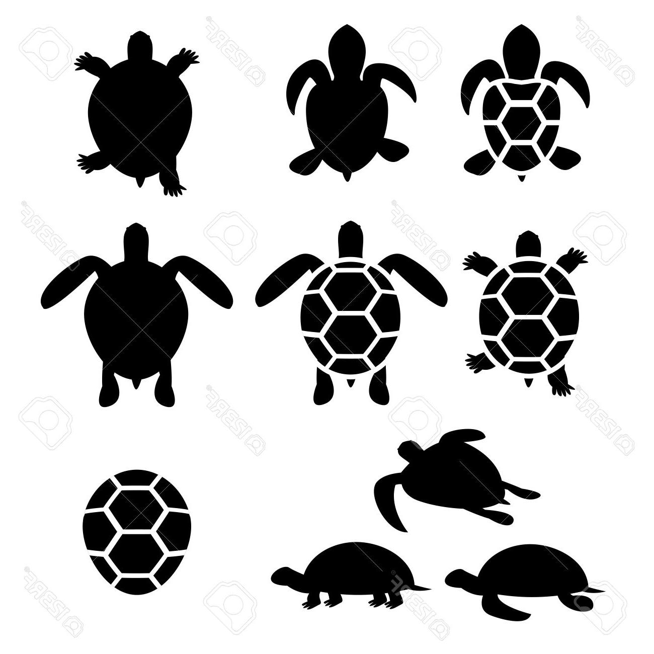 1300x1300 Unique Set Of Turtle And Tortoise Silhouette Vector Design