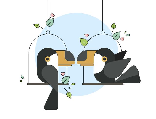 641x490 Toucan Vector