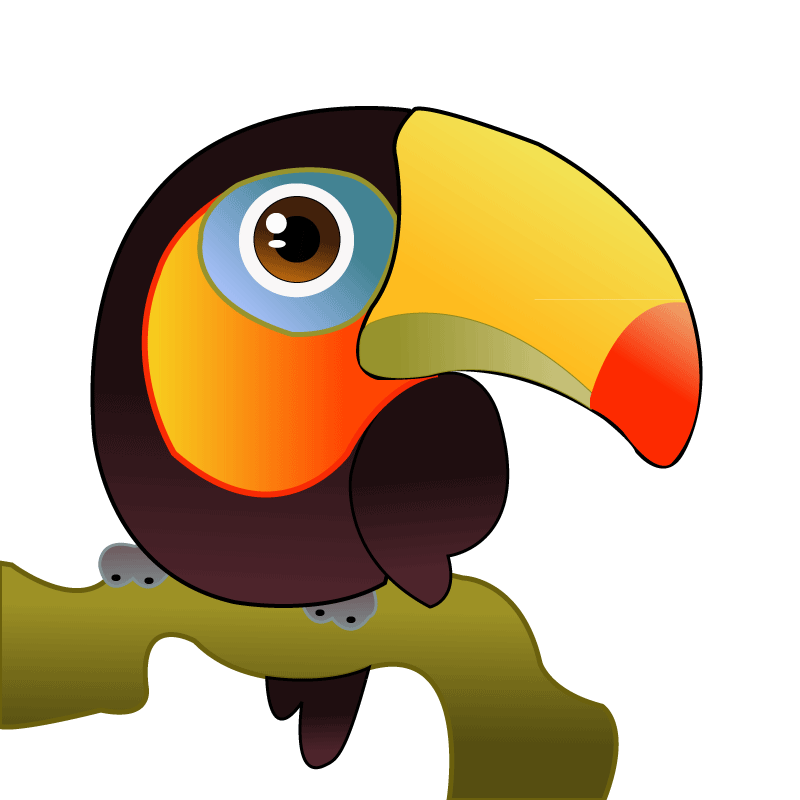 800x800 Toucan Vector By Sinninginheaven
