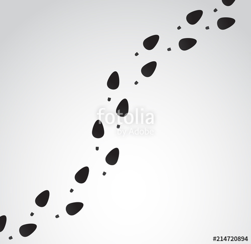 500x486 Female High Heels Trail