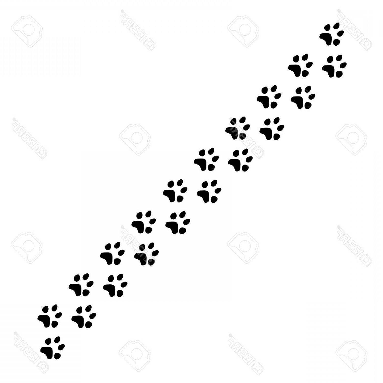 1560x1560 Photostock Vector Vector Illustration Black Silhouette Dog