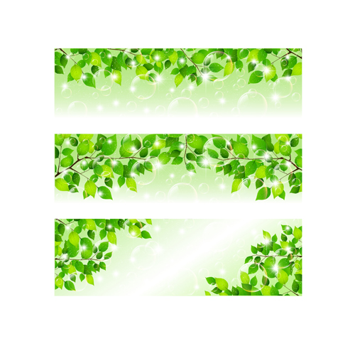 500x480 Bubble And Tree Leaves Vector Background 02 Free Download