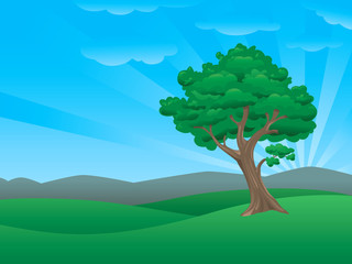 320x240 Nature Photos, Royalty Free Images, Graphics, Vectors Amp Videos