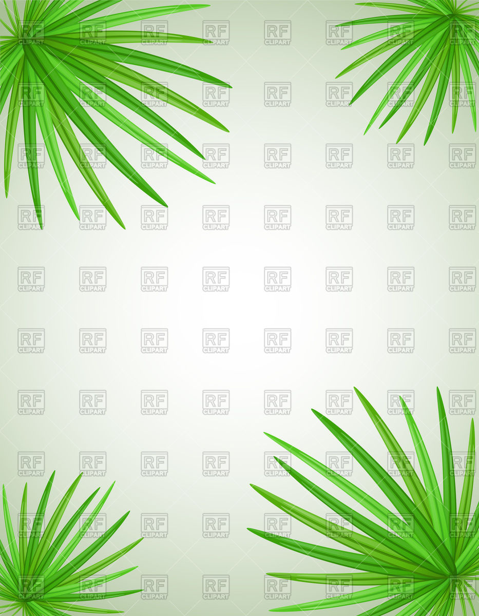 933x1200 Palm Tree Leaves Background Vector Image Vector Artwork Of