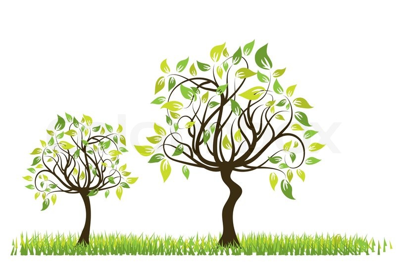800x544 Tree Spring Background, Vector Illustration Stock Vector Colourbox