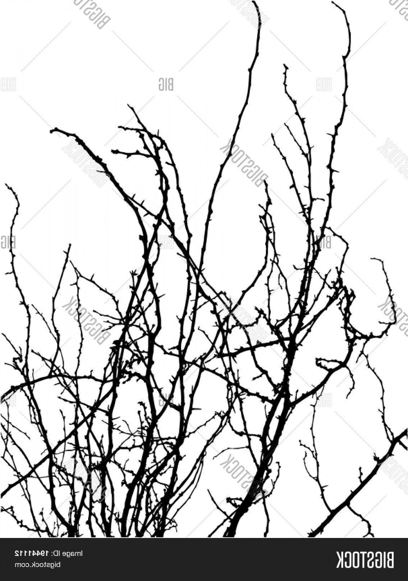 1365x1944 Stock Vector Tree Branches Vector Silhouette Shopatcloth