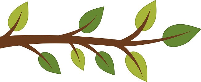 651x266 Vector Tree Branch Premium Clipart