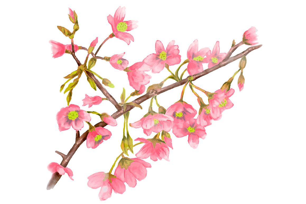 1158x772 Watercolor Spring Tree Branch Vector