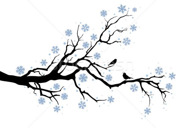 600x420 Winter Tree Branch Vector Illustration Beaubelle ( 471350