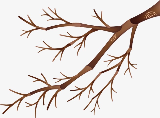 650x479 Branches, Tree, Branches Vector Png And Vector For Free Download
