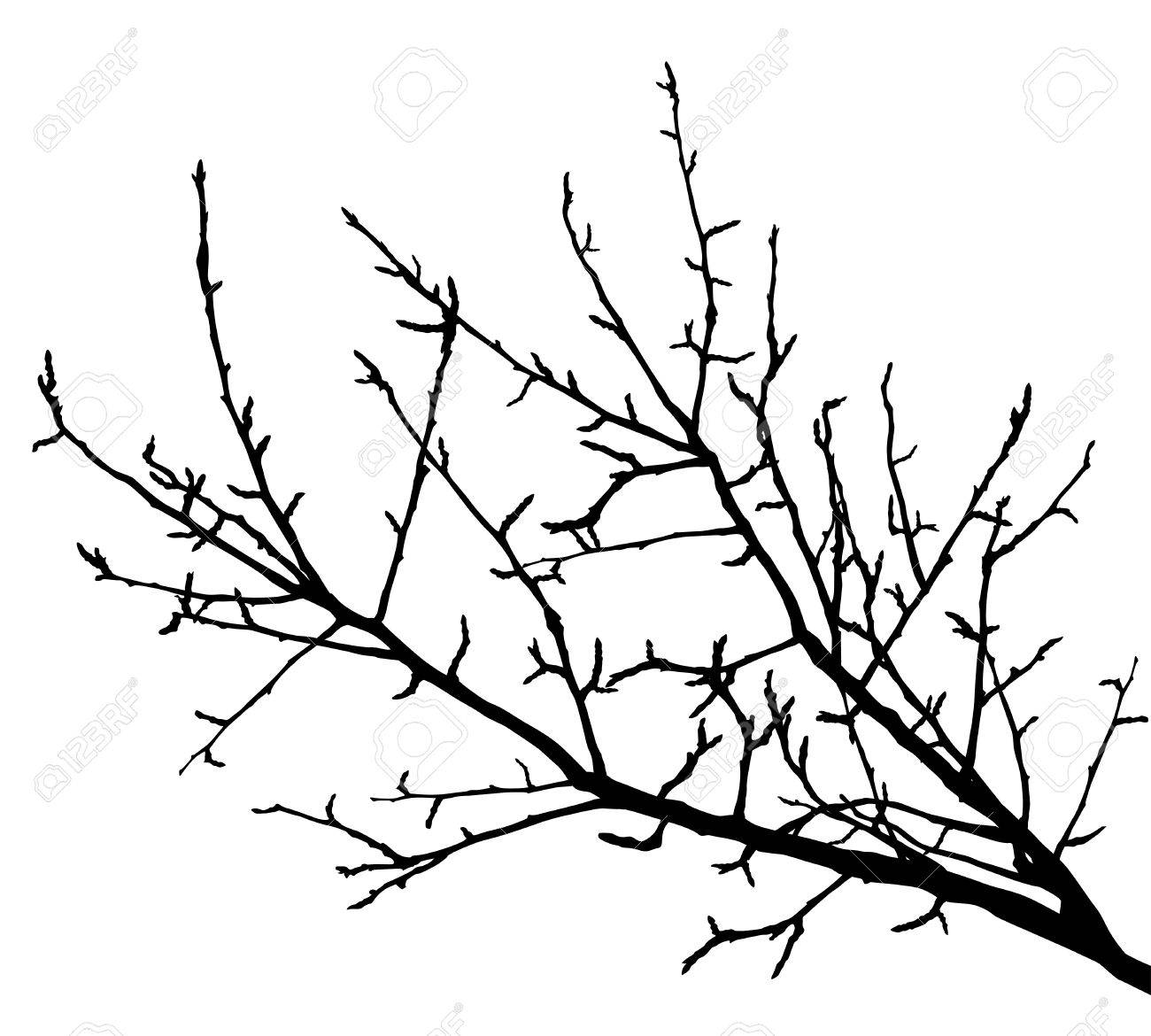 1300x1170 Collection Of Free Branches Clipart Realistic Tree. Download On