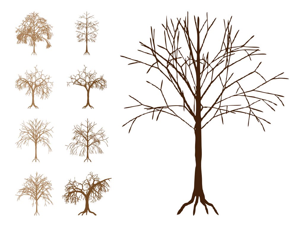 1024x765 Dead Trees Silhouettes Vector Art Amp Graphics