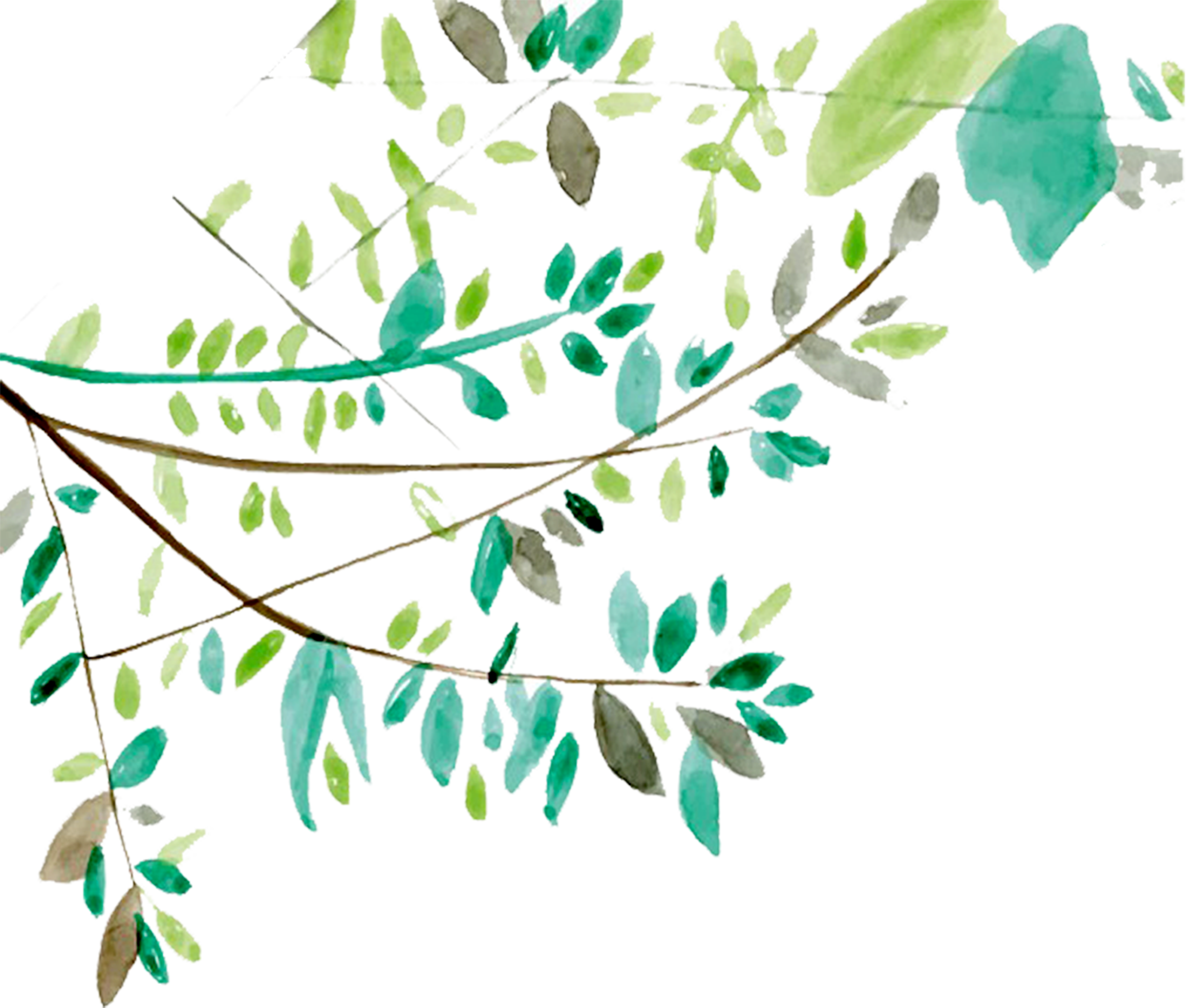 3971x3375 19 Vector Ai Tree Branch Huge Freebie! Download For Powerpoint