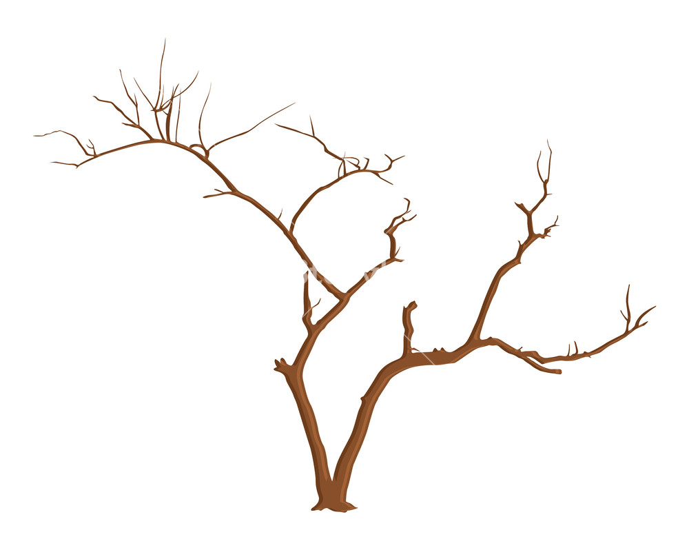 1000x798 Halloween Tree Branches Vector Royalty Free Stock Image