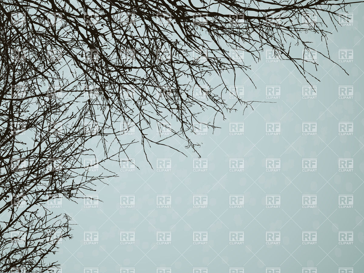 1200x900 Leafless Tree Branches Vector Image Vector Artwork Of