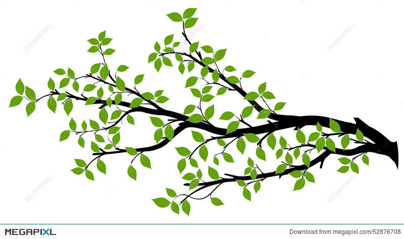 800x474 Tree Branch Silhouette, Vector Graphics Illustration 52876708