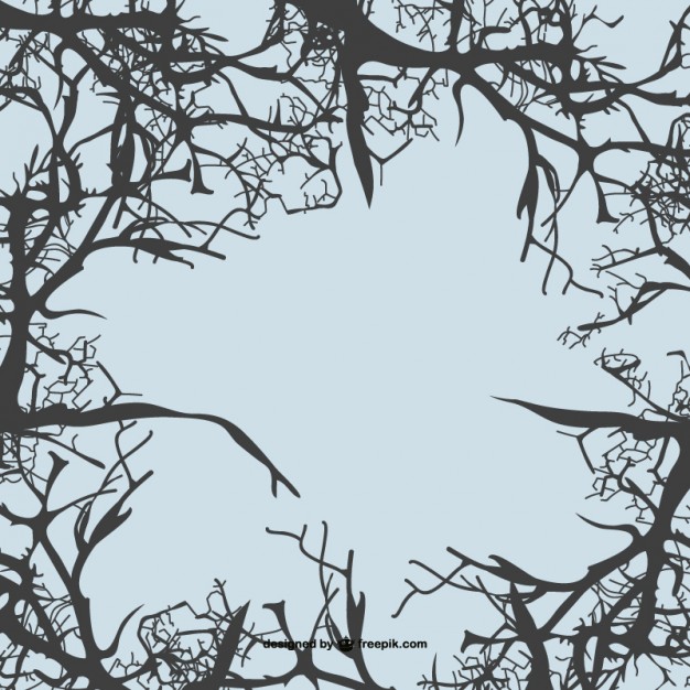 626x626 Tree Branches Background Vector Free Download