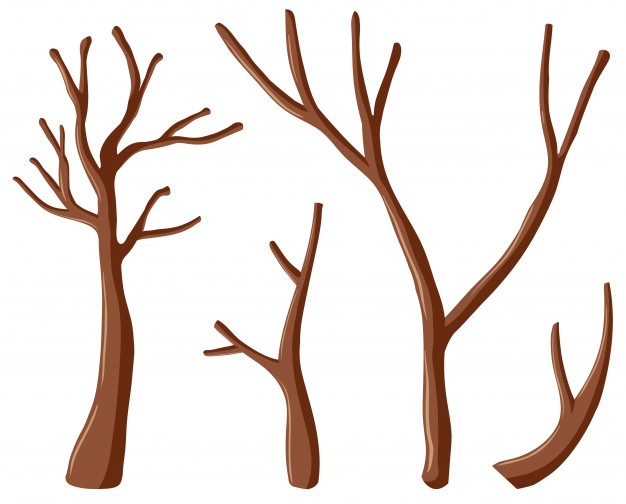 626x504 Branch Vectors, Photos And Psd Files Free Download