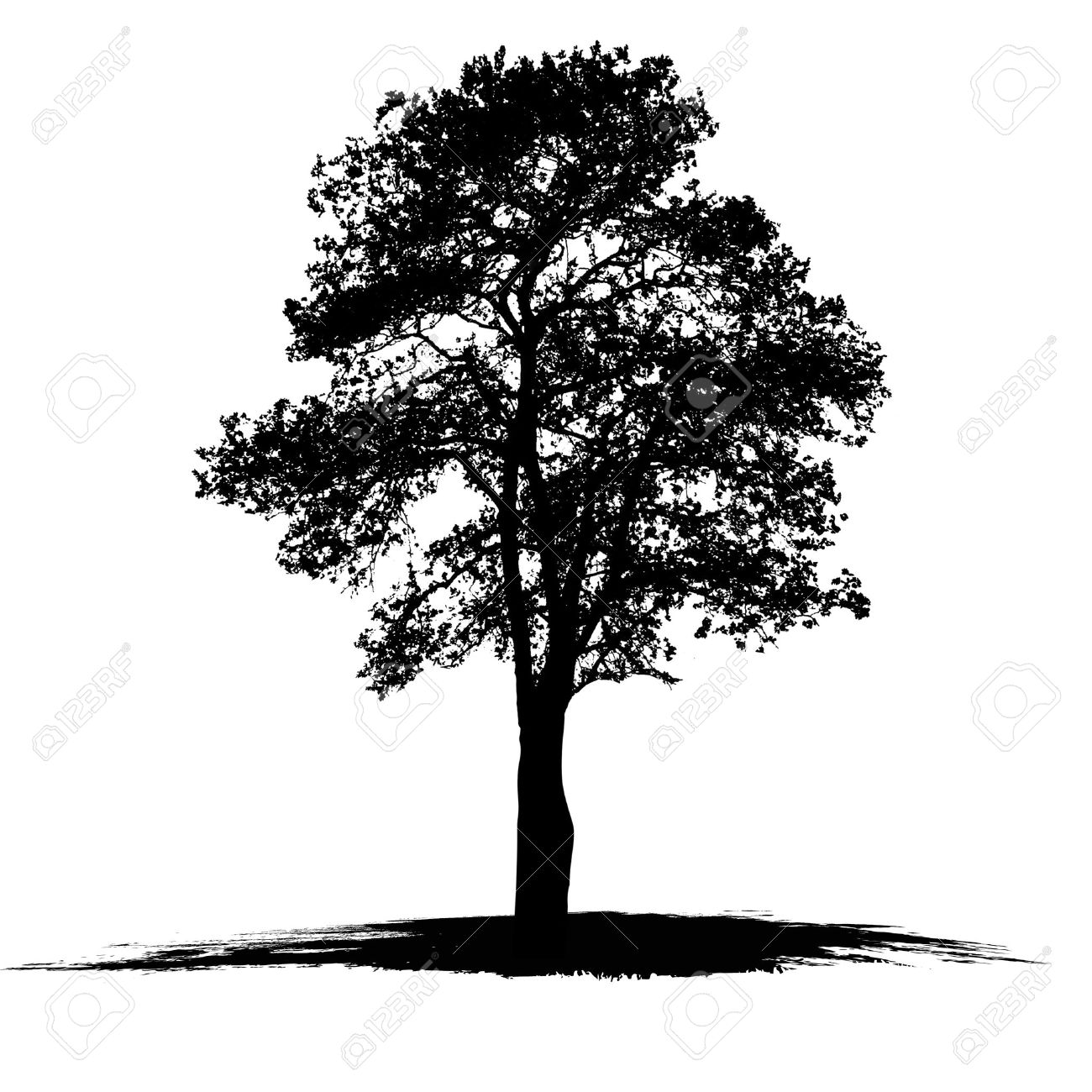 1300x1300 Collection Of Vector Tree Drawing High Quality, Free