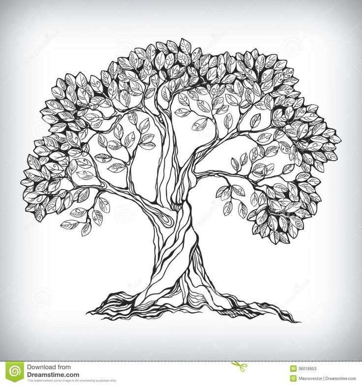 736x786 Hand Drawn Tree Symbol