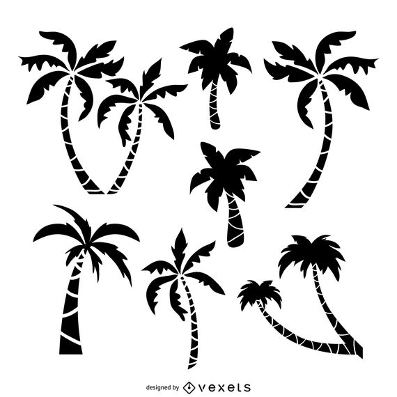 570x570 Palm Trees Drawing Set