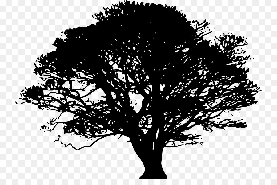 900x600 Tree Drawing Clip Art