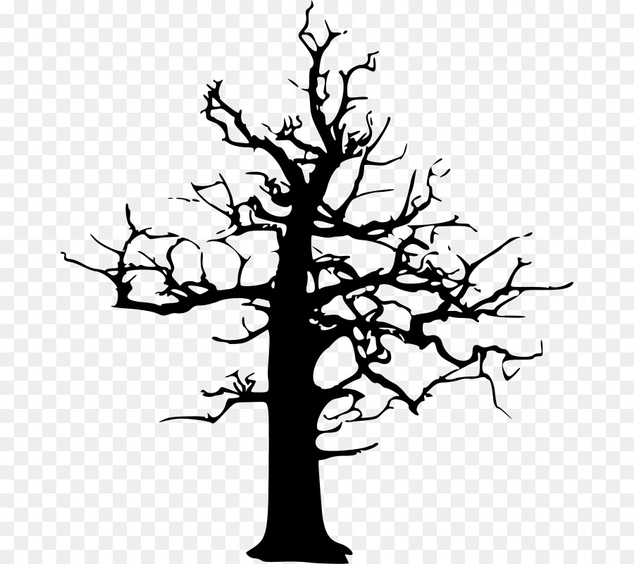 900x800 Tree Drawing Clip Art