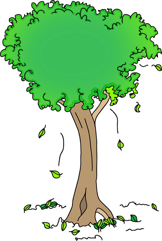 642x955 Tree Drawing Vector Art Illustration Pvc Board Print Green Etsy