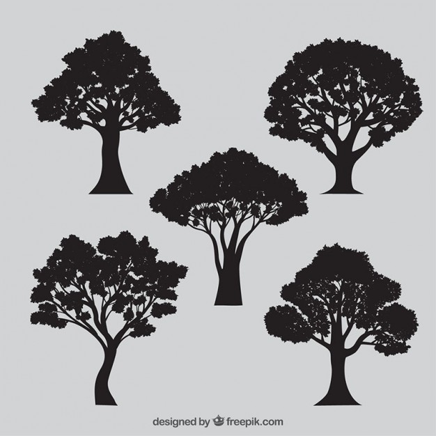 626x626 Tree Vectors, Photos And Psd Files Free Download