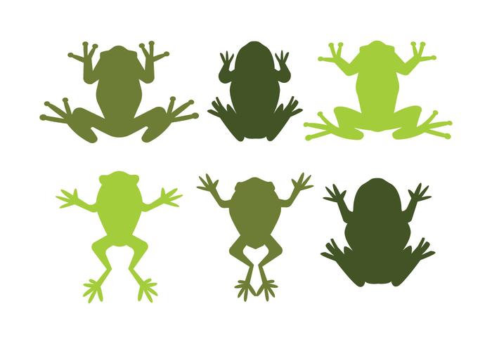 700x490 Green Tree Frog Vectors