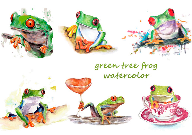 632x443 Green Tree Frog Watercolor Free Vector Download 330025 Cannypic